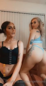 12270653
