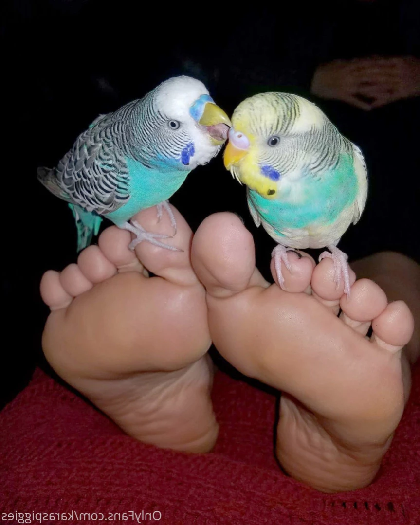karaspiggies Onlyfans leaked photo 16460734 on Hotleaks.tv