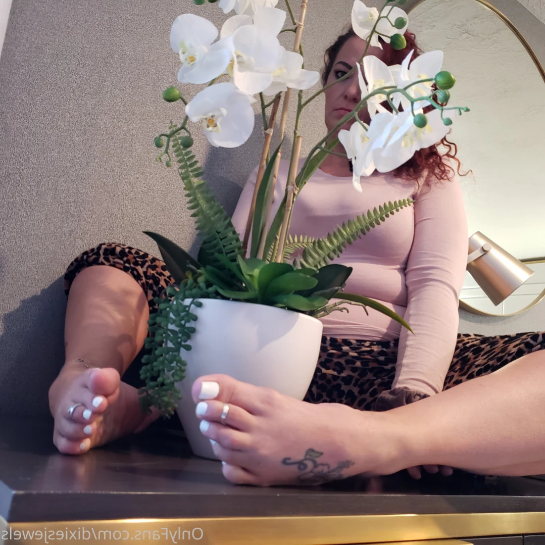 Trinitie ♐️🌙☪️Dixiesjewels [ dixiesjewels ] Onlyfans leaked photo 13093457 on Hotleaks.tv
