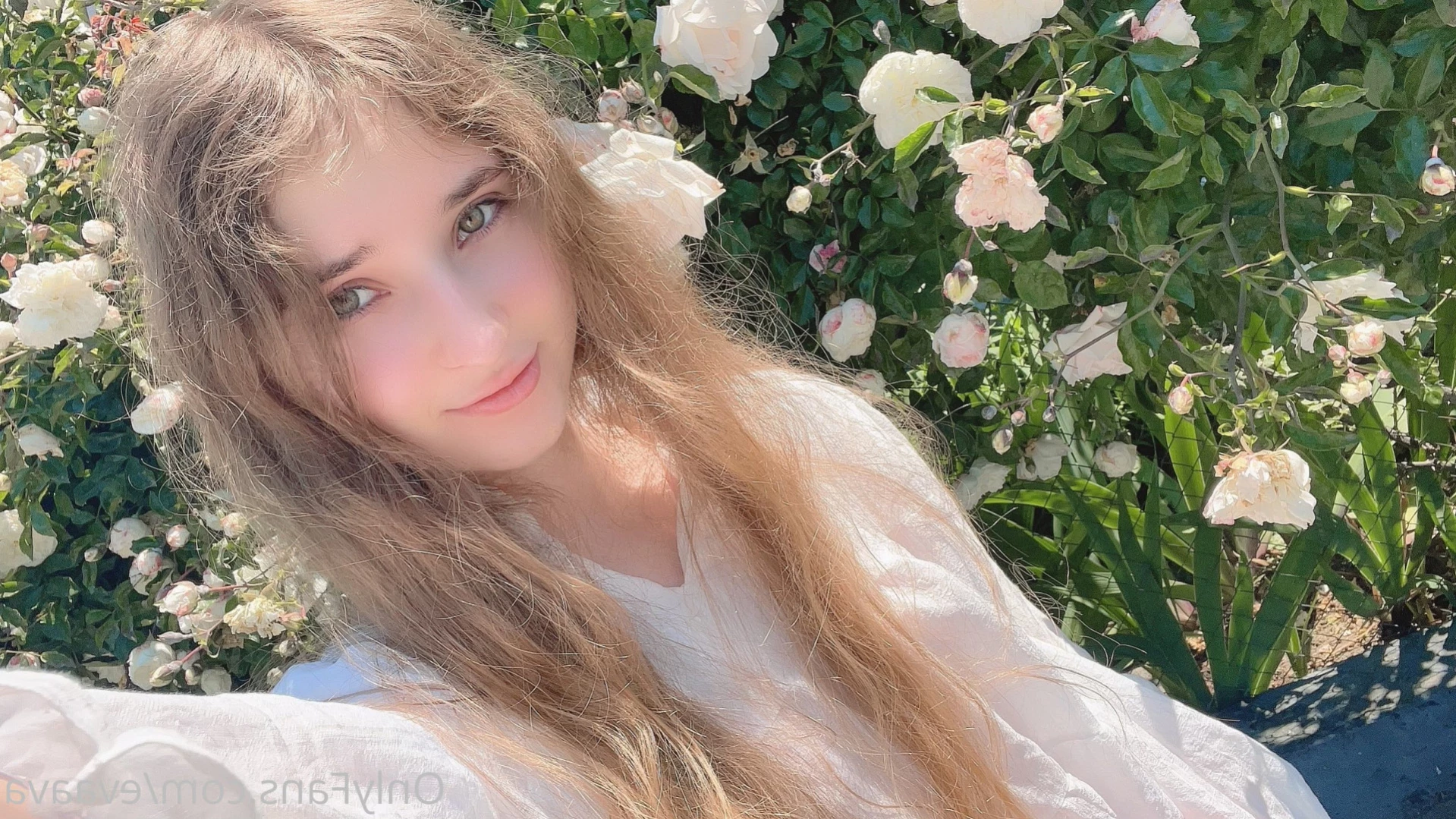 ✨ Kitten ⛈ [ evaava ] Onlyfans leaked photo 16365876 on Hotleaks.tv