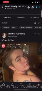 15258711