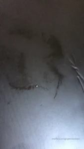 16190671