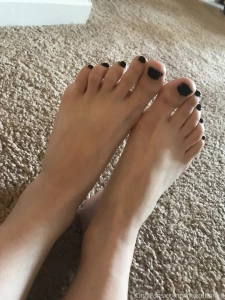 18410691