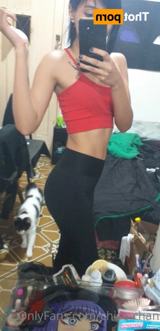 chise-chan Onlyfans leaked photo 12808468 on Hotleaks.tv