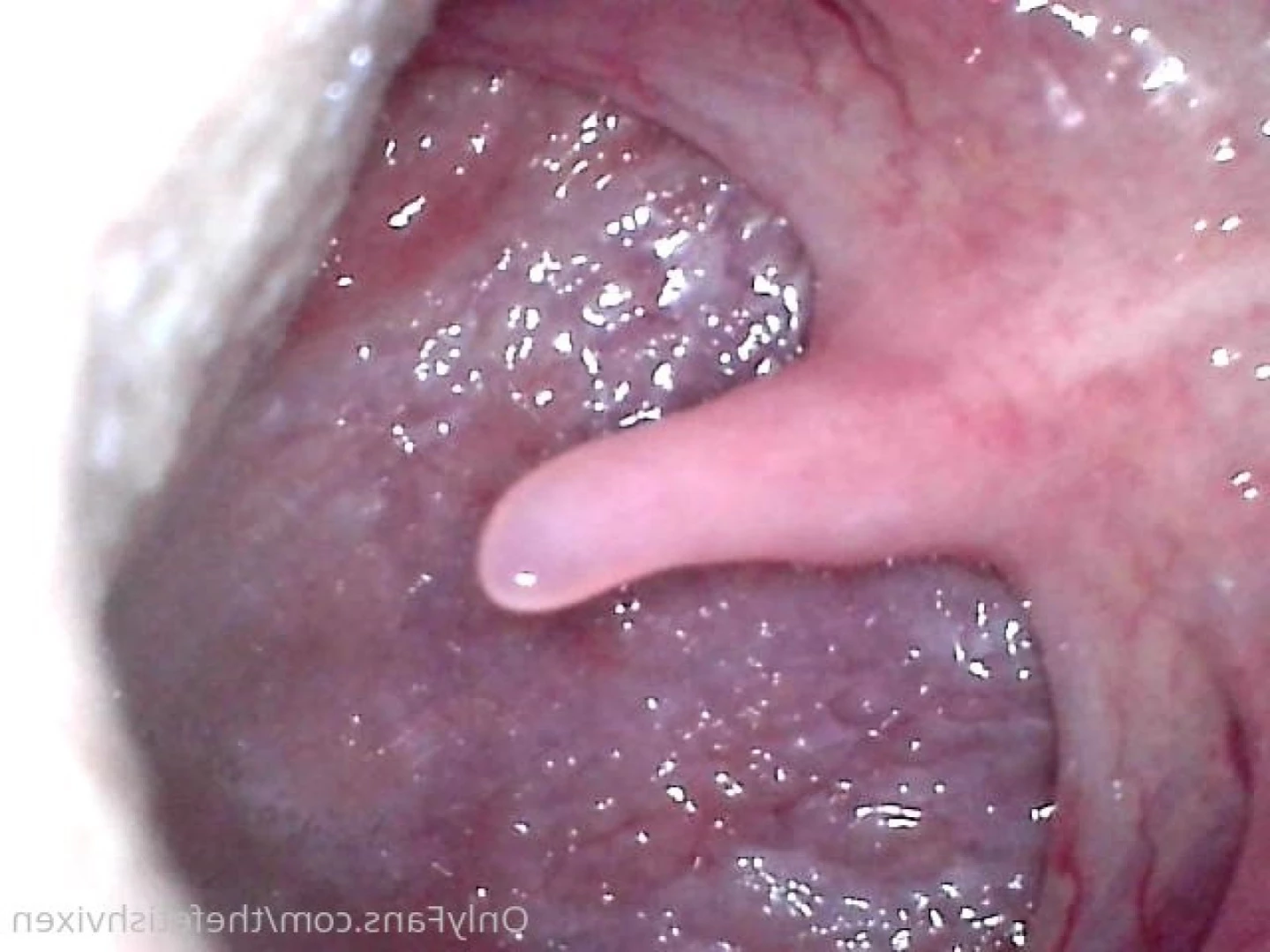 fetishvixenfatal Onlyfans leaked photo 13516684 on Hotleaks.tv