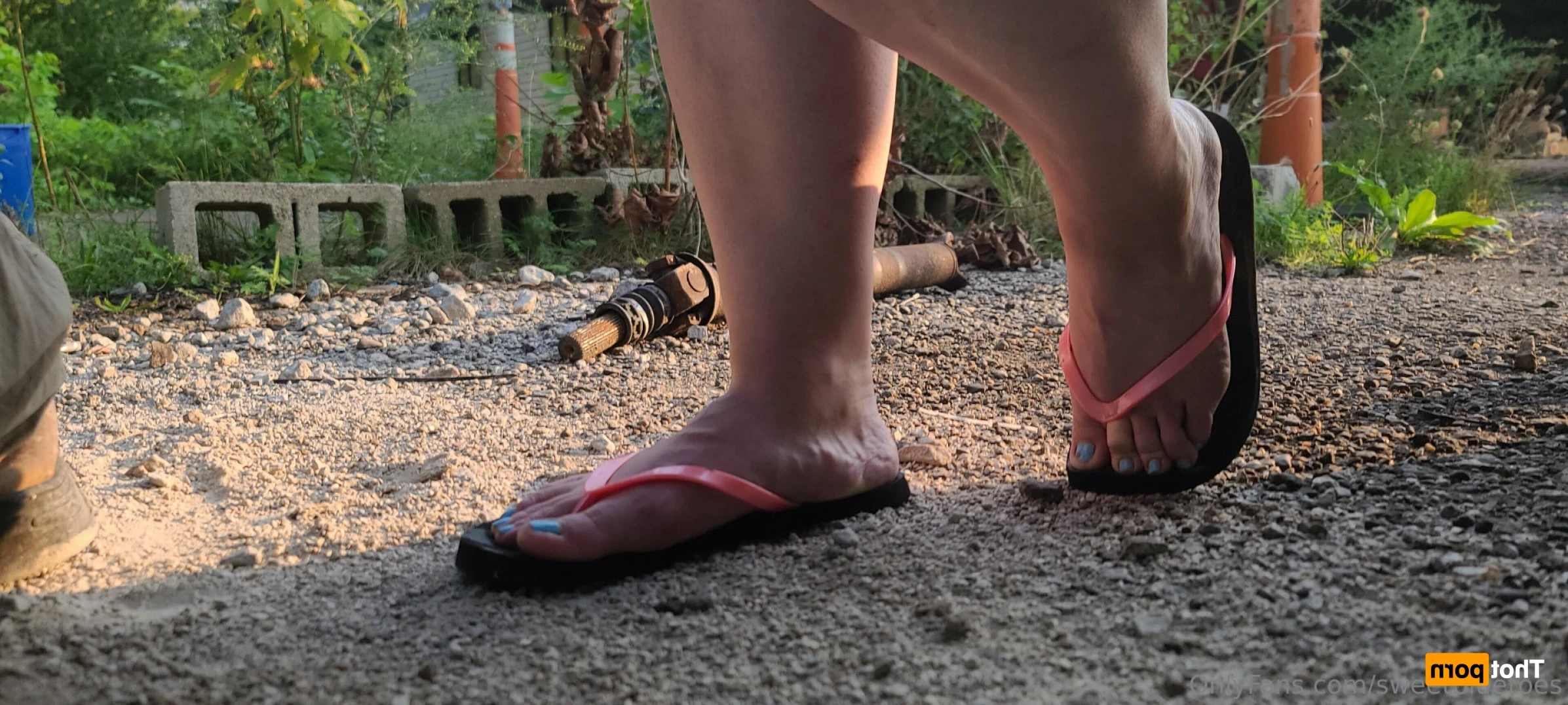 sweetbluetoes Onlyfans leaked photo 12325083 on Hotleaks.tv