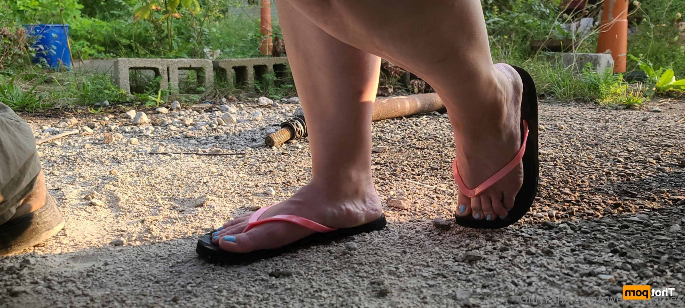 sweetbluetoes Onlyfans leaked photo 15887744 on Hotleaks.tv