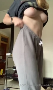16049288