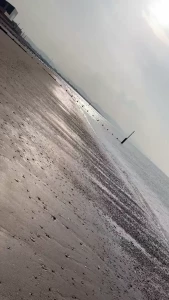 16339428