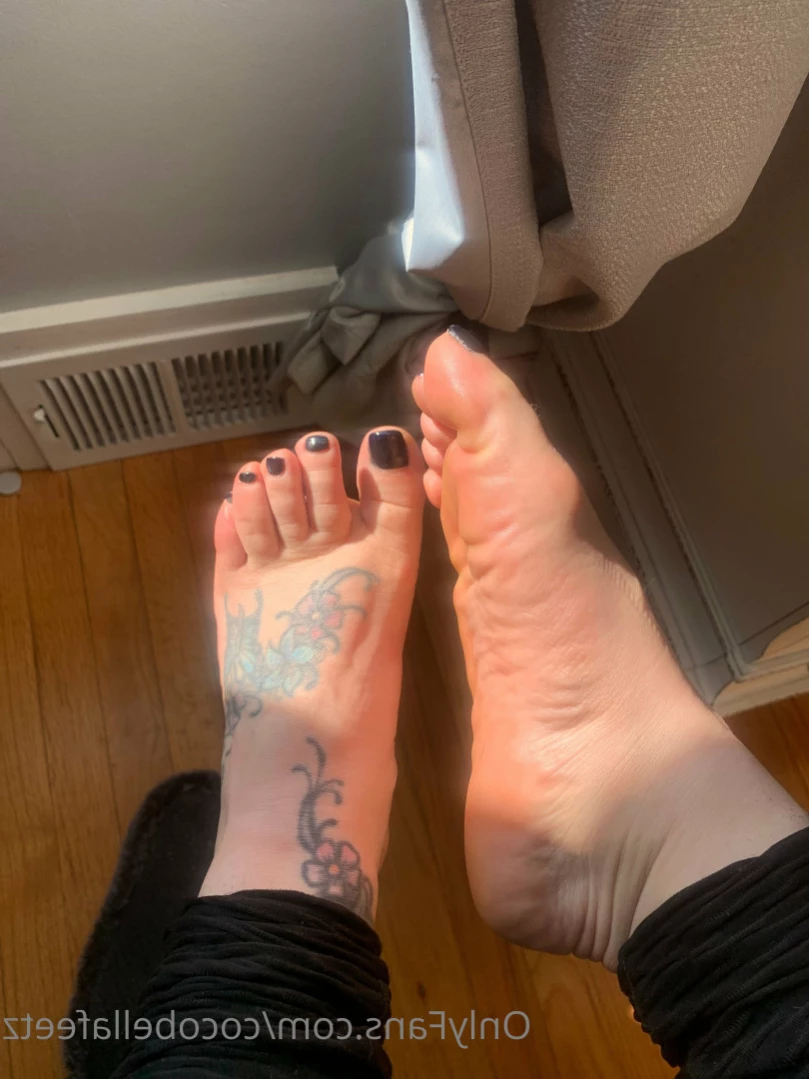 Coco bella [ cocobellafeetz ] Onlyfans leaked photo 16074152 on Hotleaks.tv
