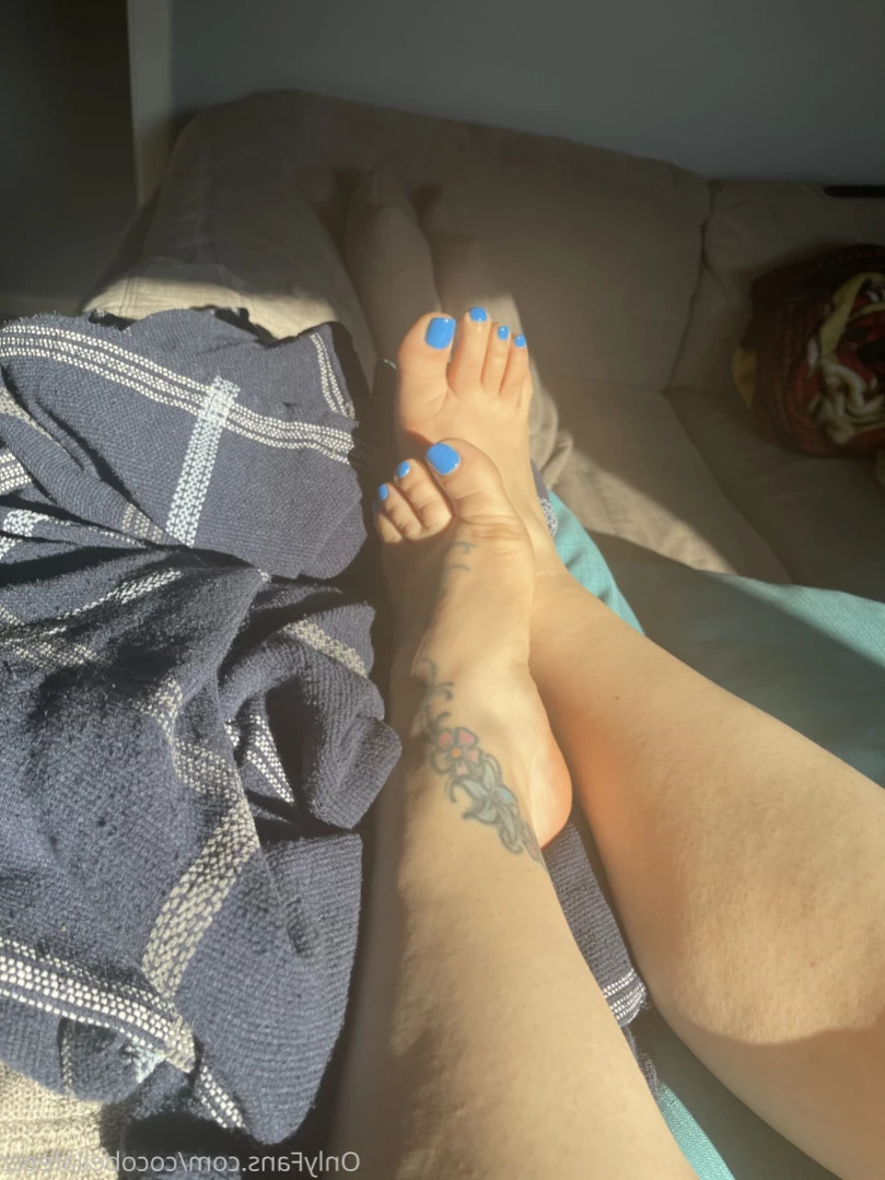 Coco bella [ cocobellafeetz ] Onlyfans leaked photo 16423778 on Hotleaks.tv