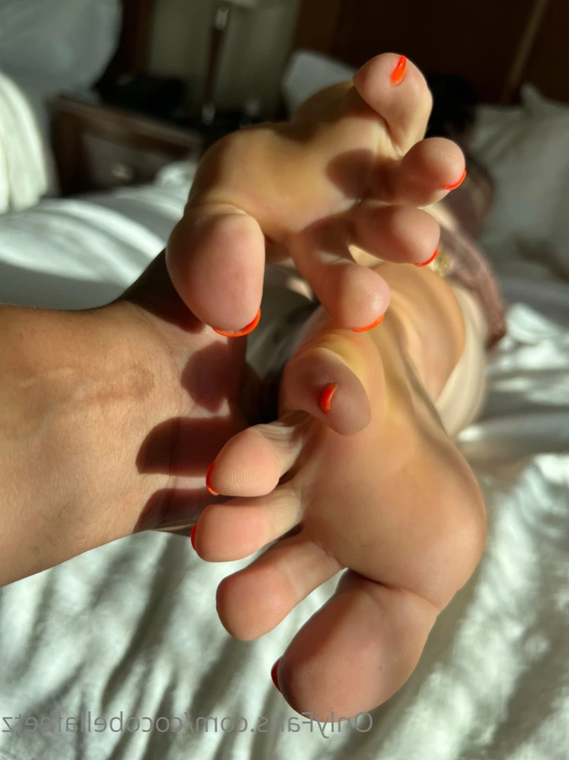 Coco bella [ cocobellafeetz ] Onlyfans leaked photo 16438455 on Hotleaks.tv
