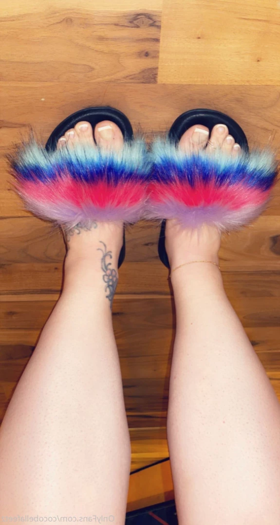Coco bella [ cocobellafeetz ] Onlyfans leaked photo 16438460 on Hotleaks.tv