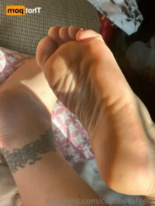 16438464