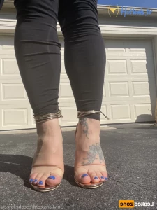 16438465
