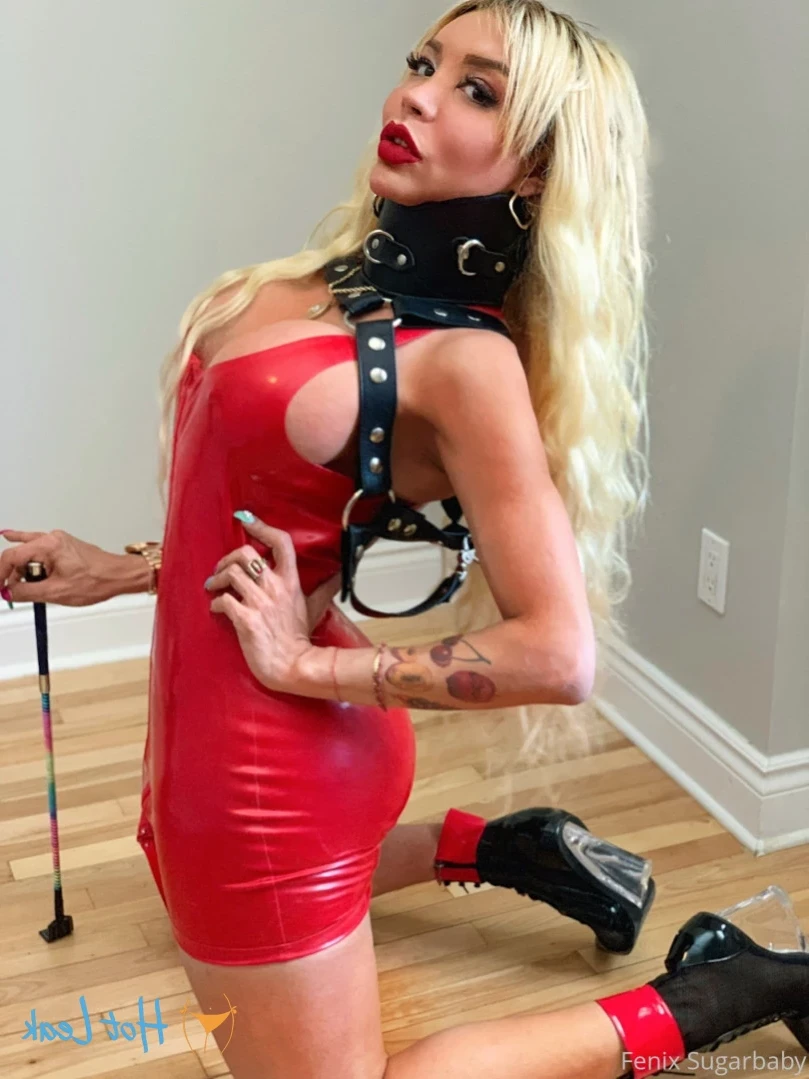 fenixsugarbaby Onlyfans leaked photo 13499213 on Hotleaks.tv