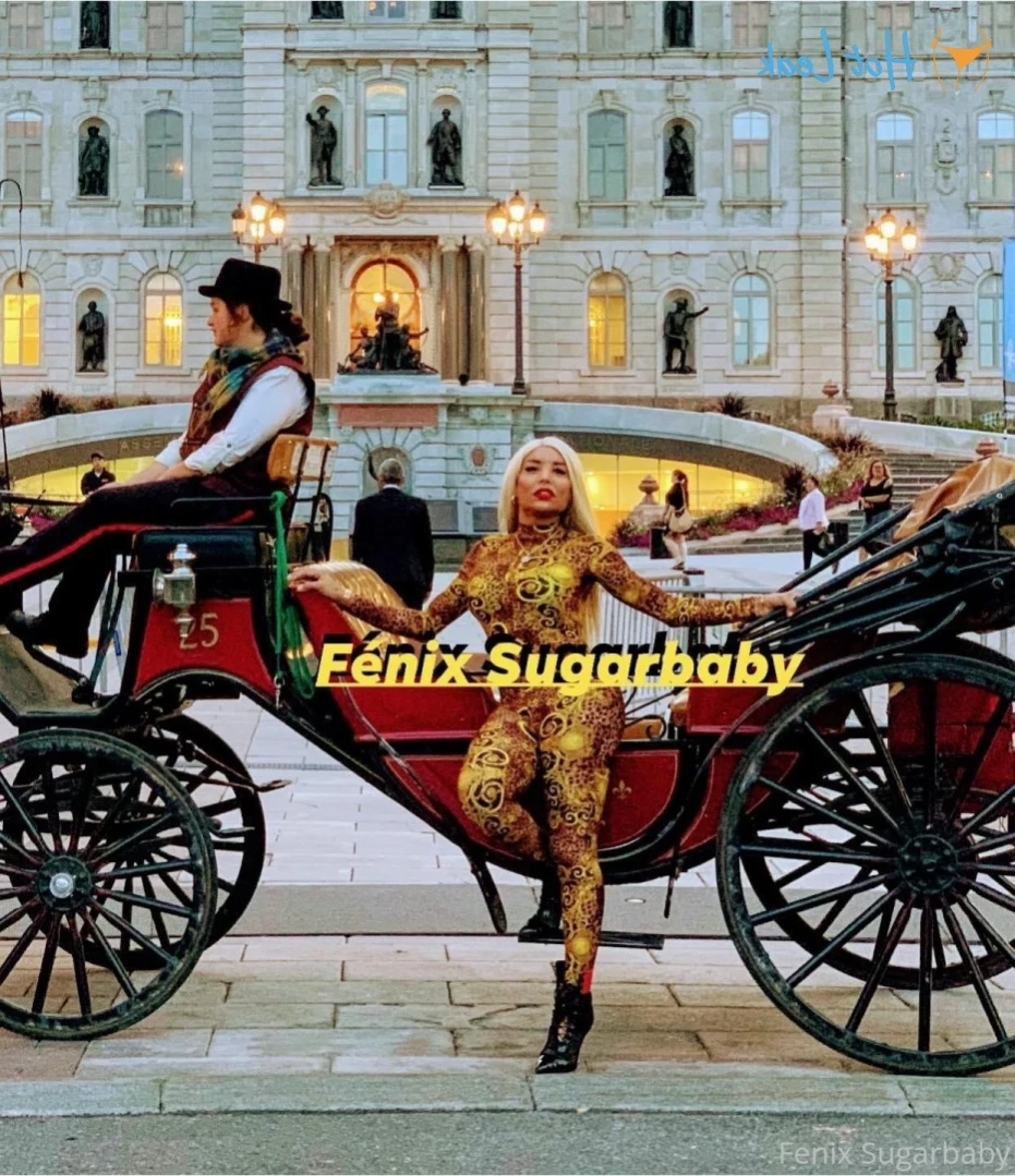 fenixsugarbaby Onlyfans leaked photo 13499591 on Hotleaks.tv