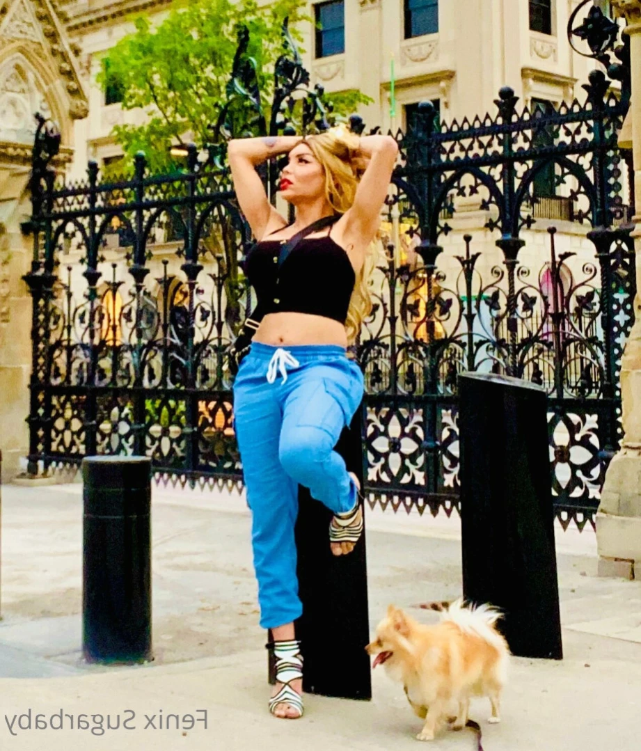 fenixsugarbaby Onlyfans leaked photo 14145844 on Hotleaks.tv