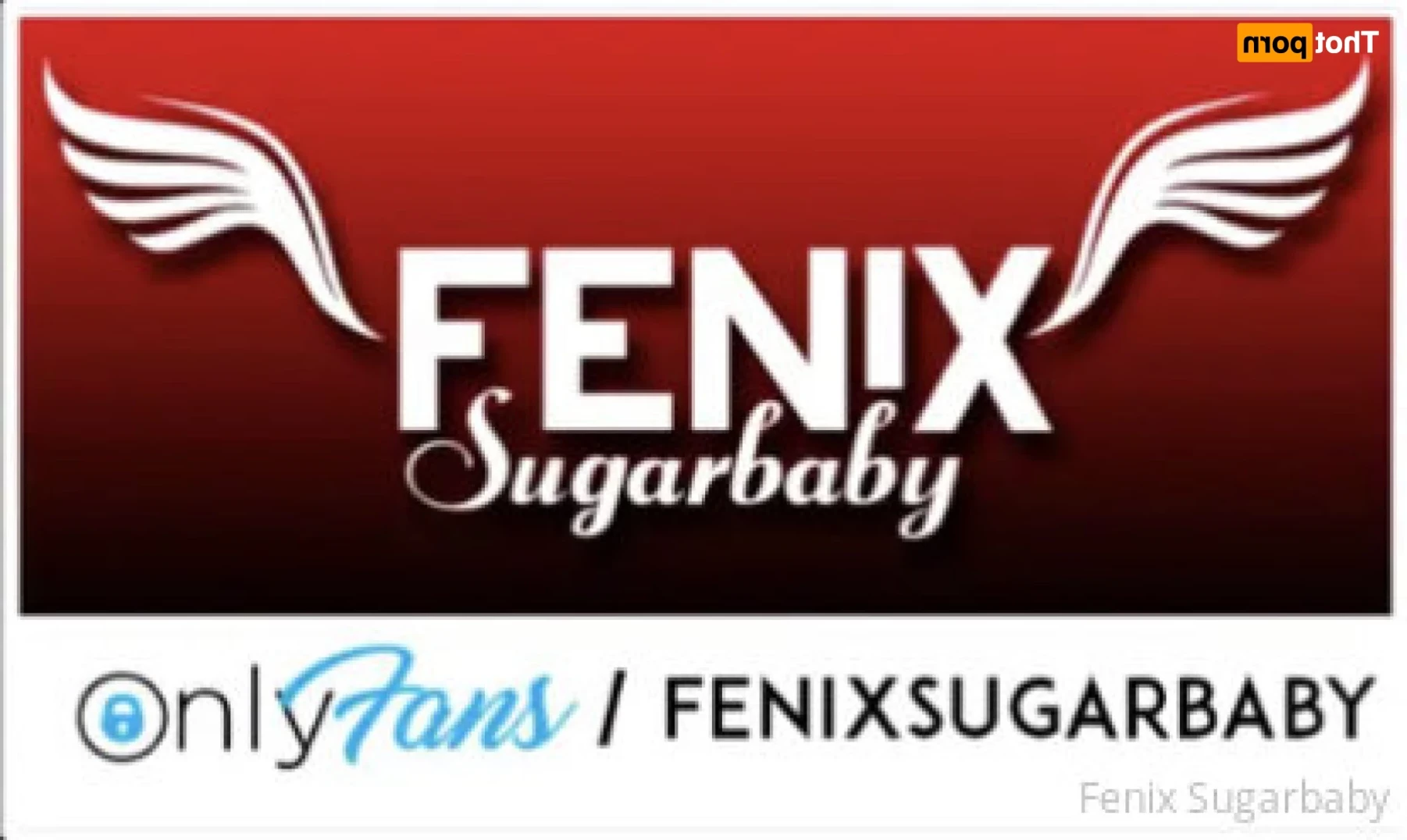 fenixsugarbaby Onlyfans leaked photo 14963294 on Hotleaks.tv