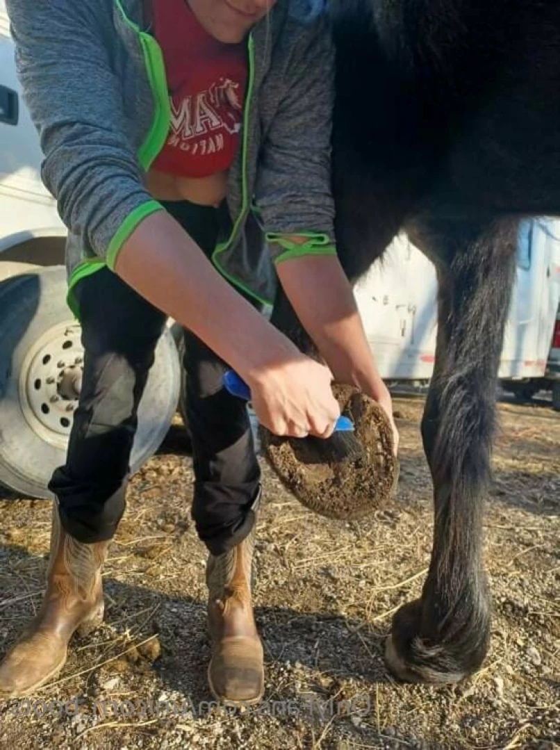Unicorn Boots [ unicorn_boots ] Onlyfans leaked photo 13597121 on Hotleaks.tv