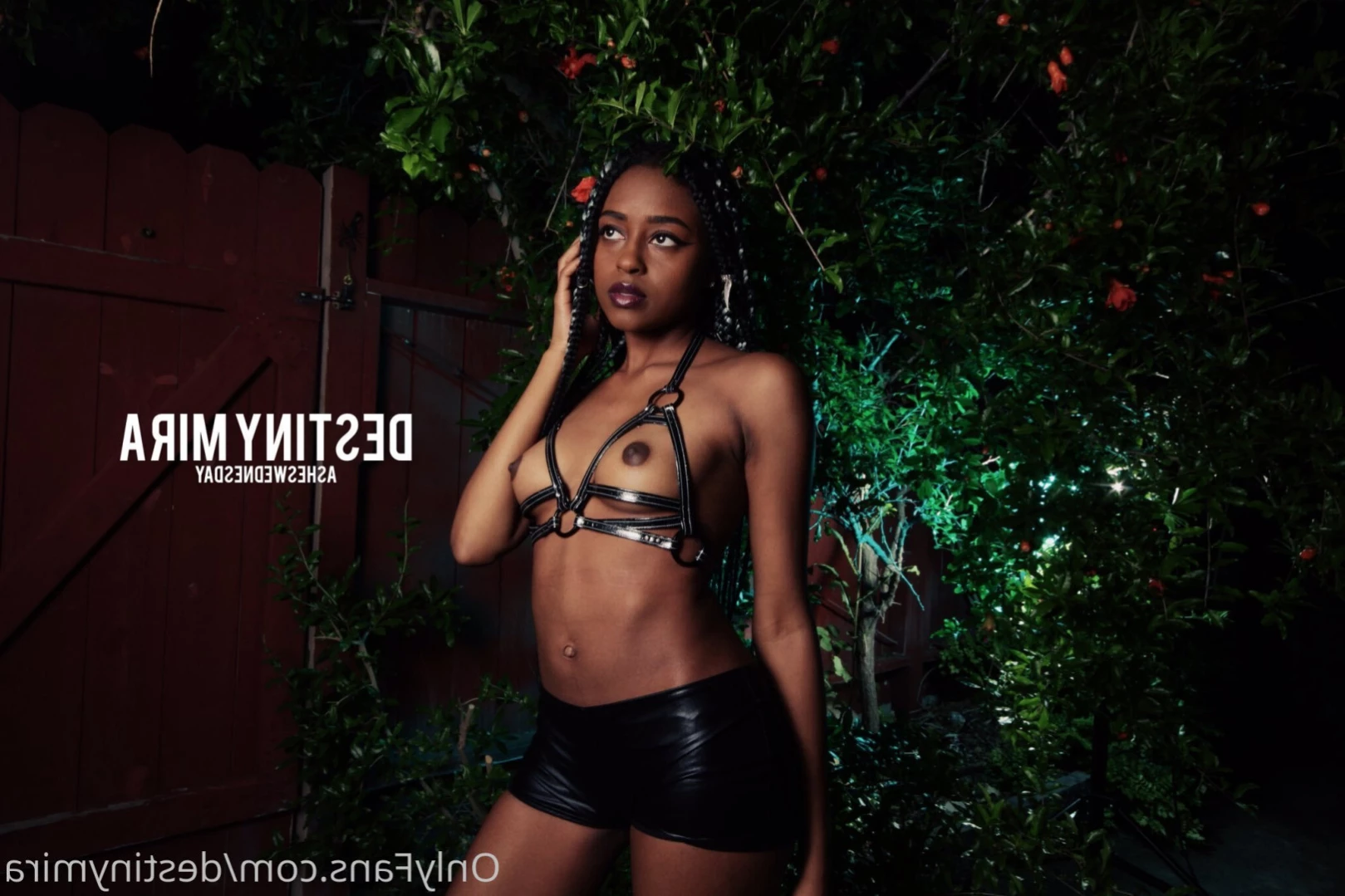 Destiny da Brat🧚🏾‍♀️ VIP [ destinymira ] Onlyfans leaked photo 15989815 on Hotleaks.tv