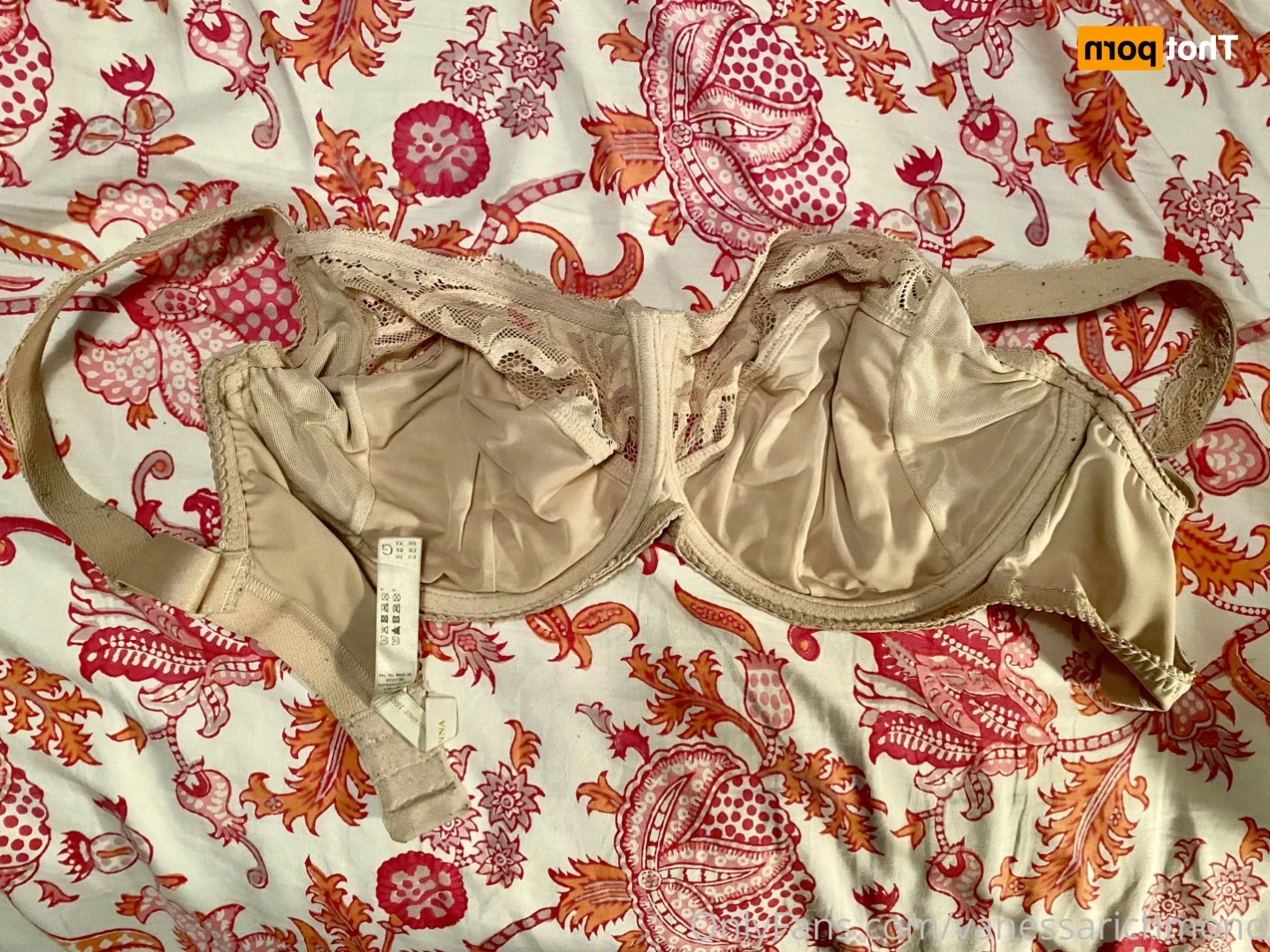 Vanessa Richmond [ vanessarichmond ] Onlyfans leaked photo 11007547 on Hotleaks.tv