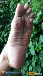 15776450