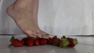 16451409