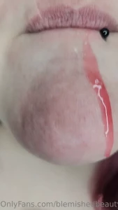 14629263