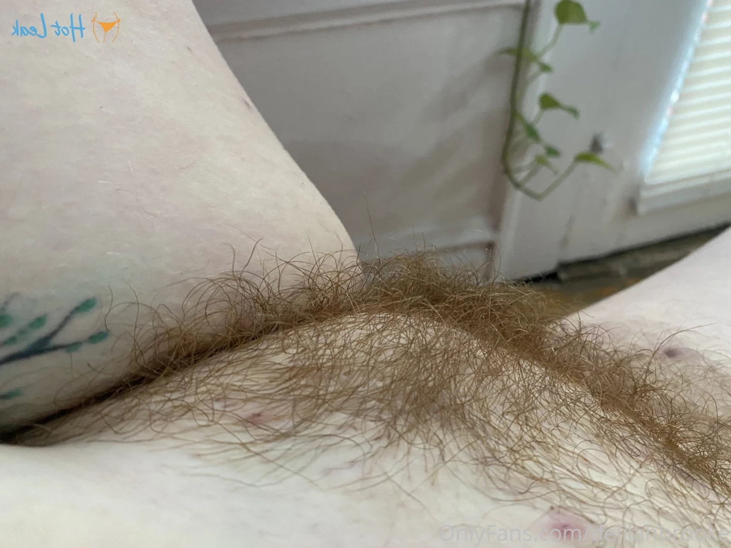 delilahbrooke Onlyfans leaked photo 14022084 on Hotleaks.tv