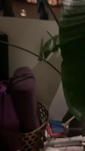 Goddess Christine [ findomchristine ] Onlyfans leaked video 15734283 on Hotleaks.tv