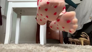 16098948