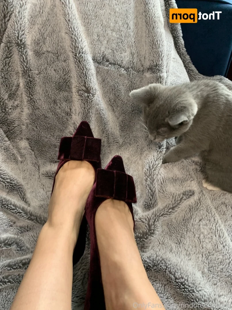Goddess Christine [ findomchristine ] Onlyfans leaked photo 16254513 on Hotleaks.tv