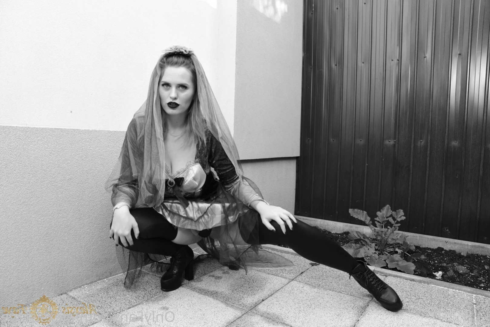 Alexsis Faye top 0.43% [ alexsisfaye ] Onlyfans leaked photo 12192828 on Hotleaks.tv