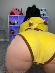 16258887