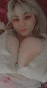 15953050