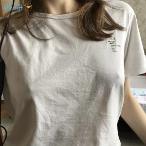 16155106