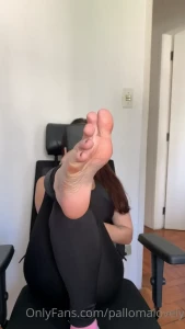 13136521