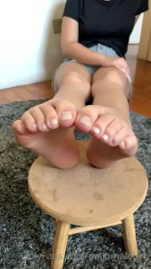 16172635