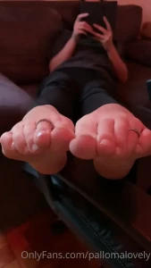 16172644