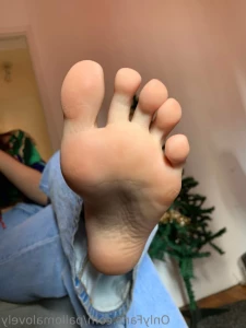 16192276