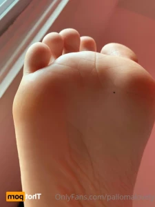16221242