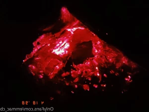 16215013