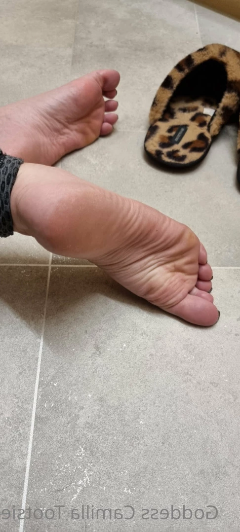 greatbritishsoles Onlyfans leaked photo 14004310 on Hotleaks.tv