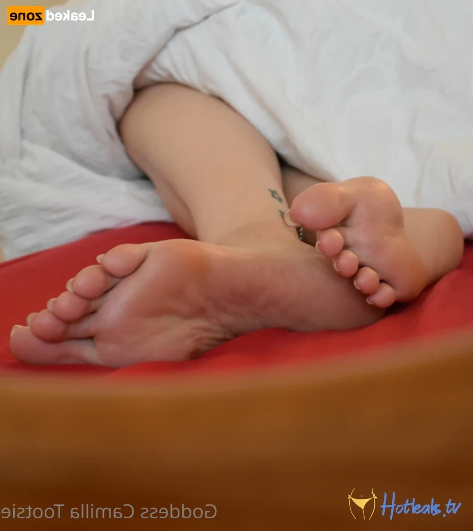 greatbritishsoles Onlyfans leaked photo 15075220 on Hotleaks.tv