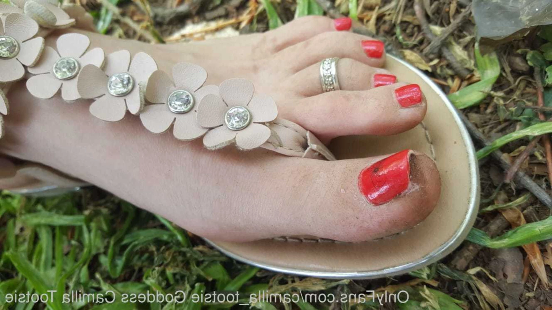 greatbritishsoles Onlyfans leaked photo 16363775 on Hotleaks.tv