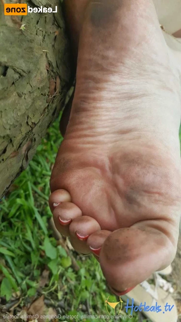 greatbritishsoles Onlyfans leaked photo 16363800 on Hotleaks.tv