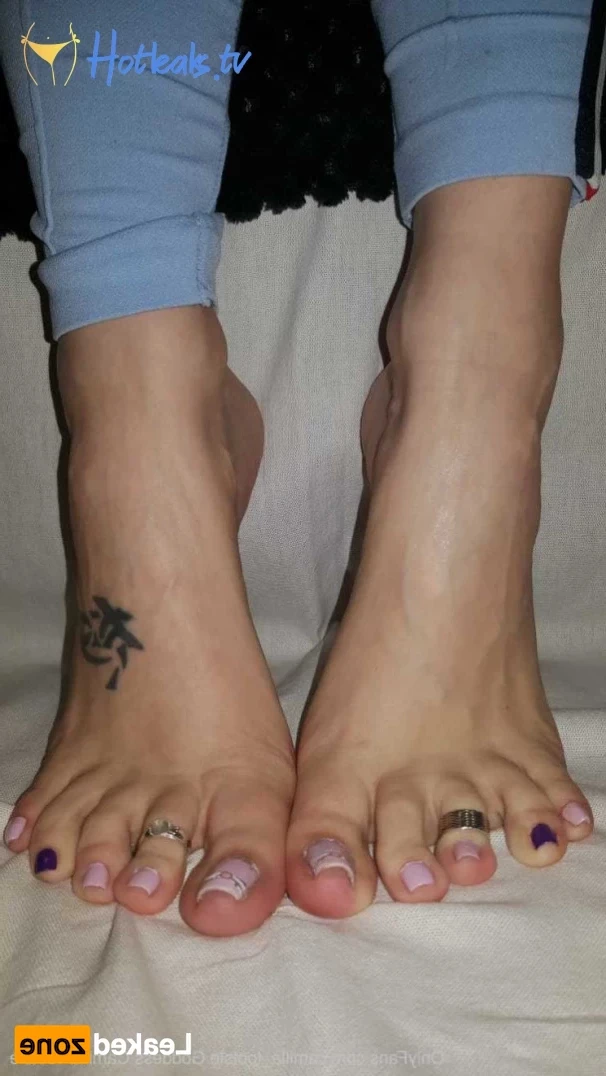 greatbritishsoles Onlyfans leaked photo 16363850 on Hotleaks.tv