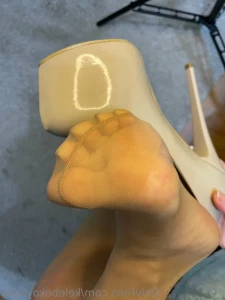 16464885