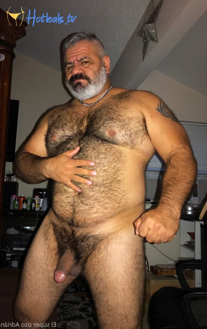 EL SÚPER OSO ADRIAN [ elsuperosoadrian ] Onlyfans leaked photo 12103684 on Hotleaks.tv